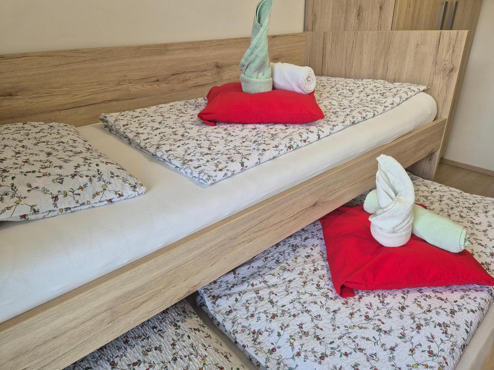 בוהין Apartma Simona מראה חיצוני תמונה